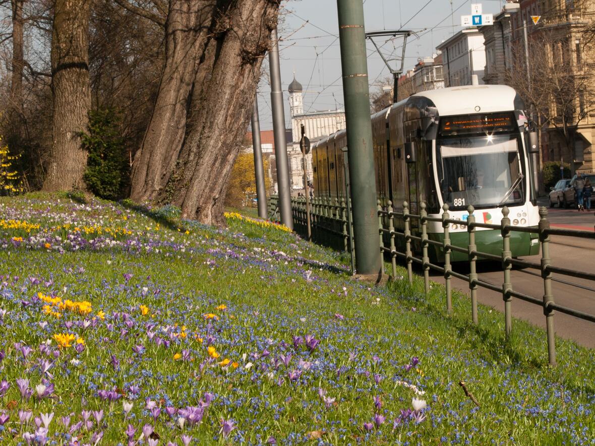 bild-fuer-anfahrt-strassenbahn