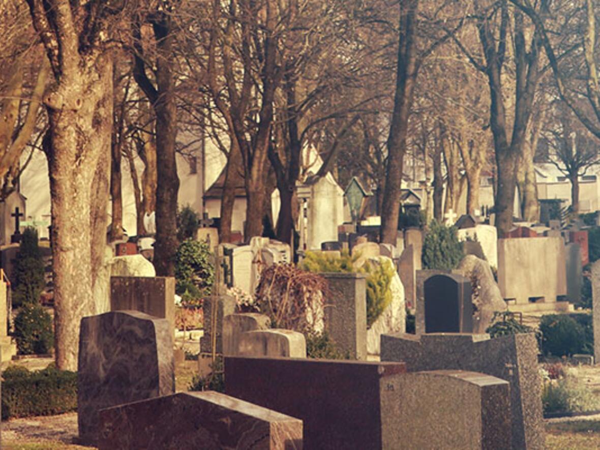 banner04
