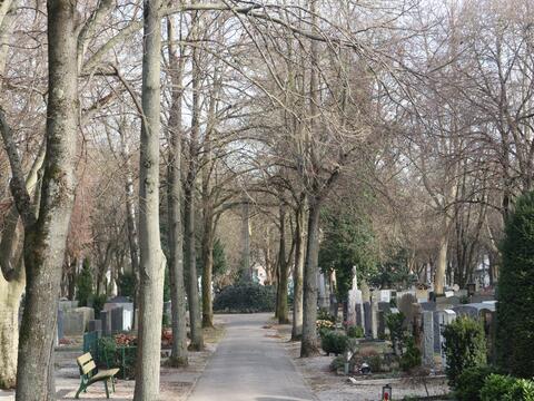 hermanfriedhof