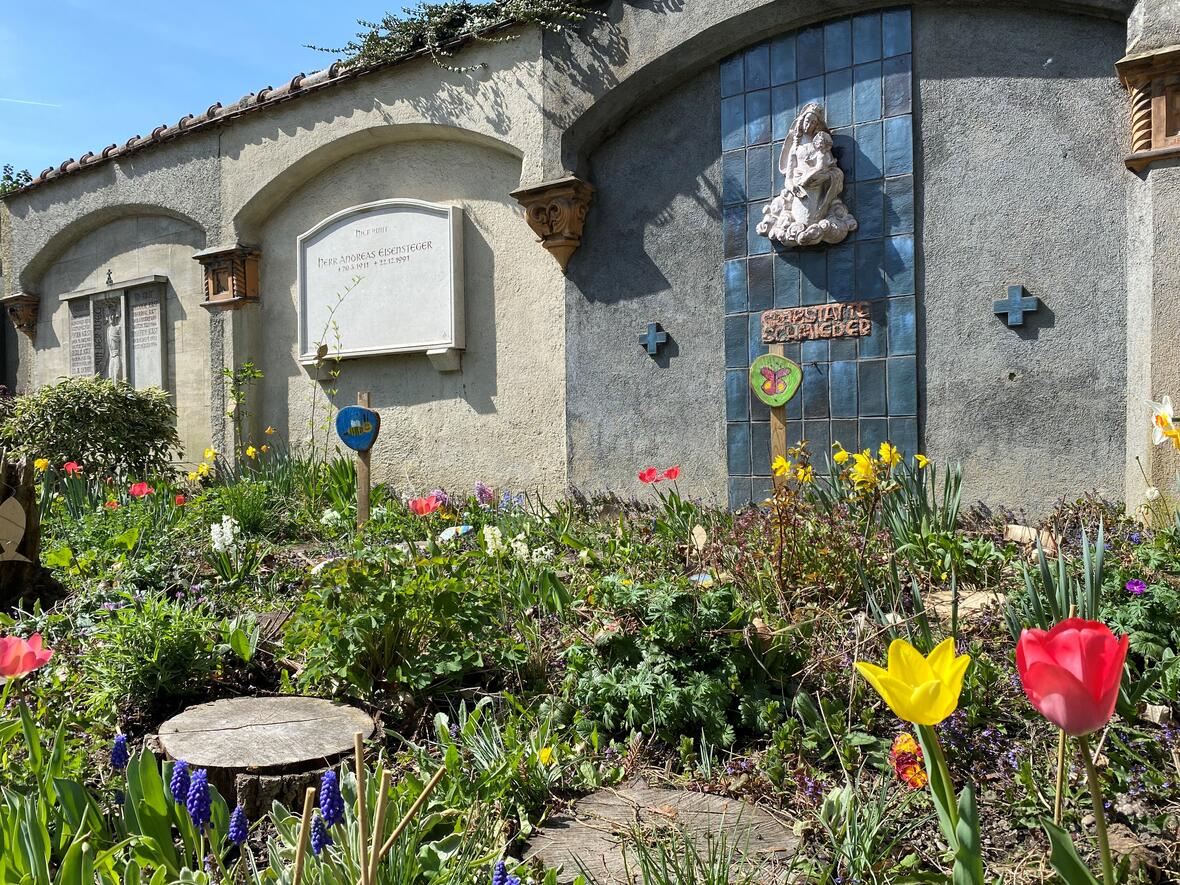 Schulprojekt zur Gestaltung eines insektenfreundlichen Grabes